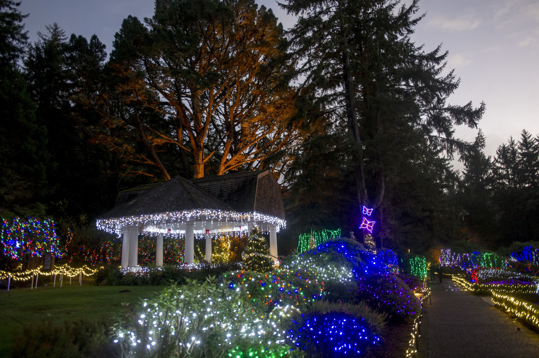 Shore Acres Holiday Display